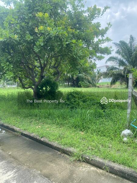 ขาย - กฤษดานคร20 (Krisda Nakhon20), กรุงเทพ
