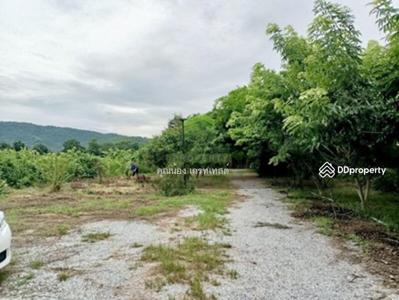 ขาย - ที่ดินบ้านห้วยคู้, สุพรรณบุรี
