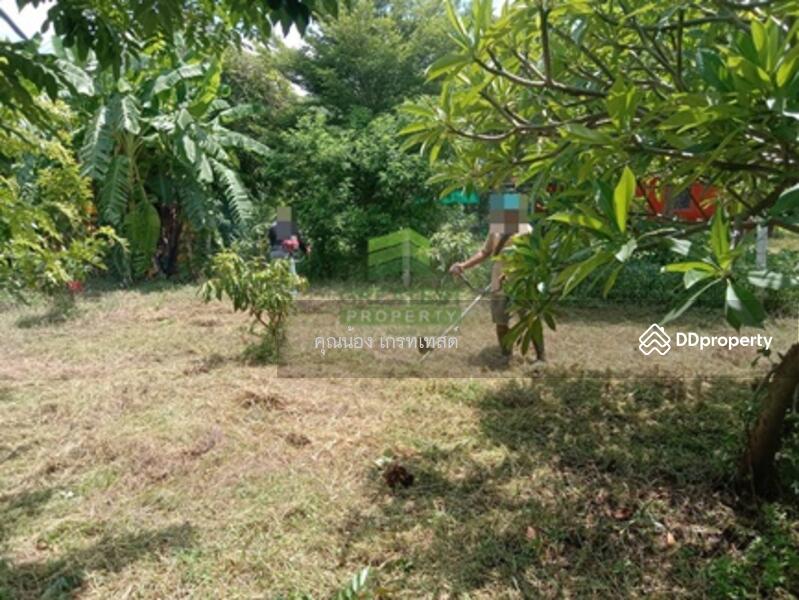 ขาย - ที่ดินบ้านห้วยคู้, สุพรรณบุรี