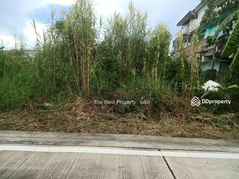 ขาย - ที่ดินพระสมุทรเจดีย์ สมุทรปราการ, สมุทรปราการ