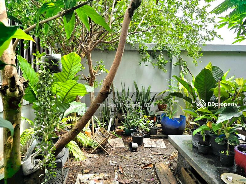 ขาย - หมู่บ้านสาครธานี บางหญ้าแพรก, สมุทรสาคร