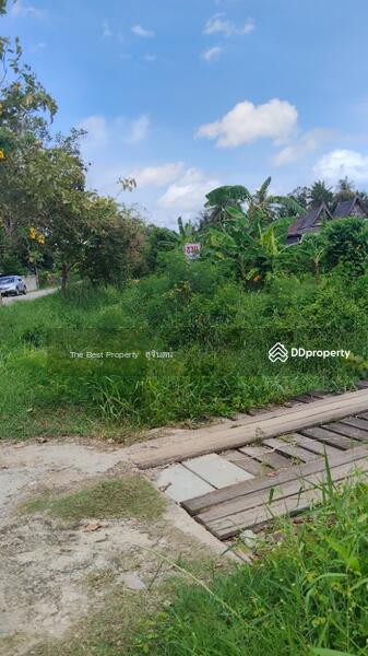 ขาย - หมู่บ้านพี่เลี้ยง เพชรบุรี, เพชรบุรี