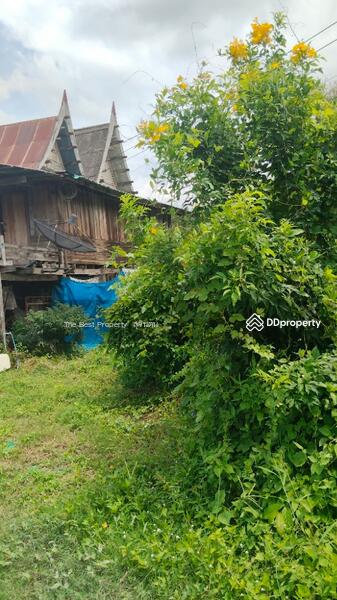ขาย - หมู่บ้านพี่เลี้ยง เพชรบุรี, เพชรบุรี