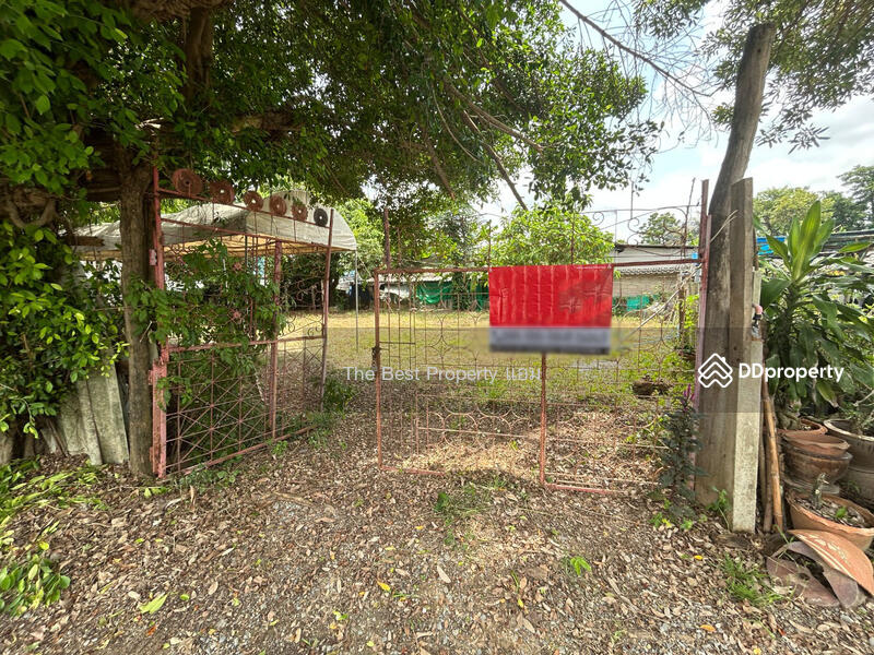 ขาย - ที่ดินบ้านยาง นครปฐม, นครปฐม