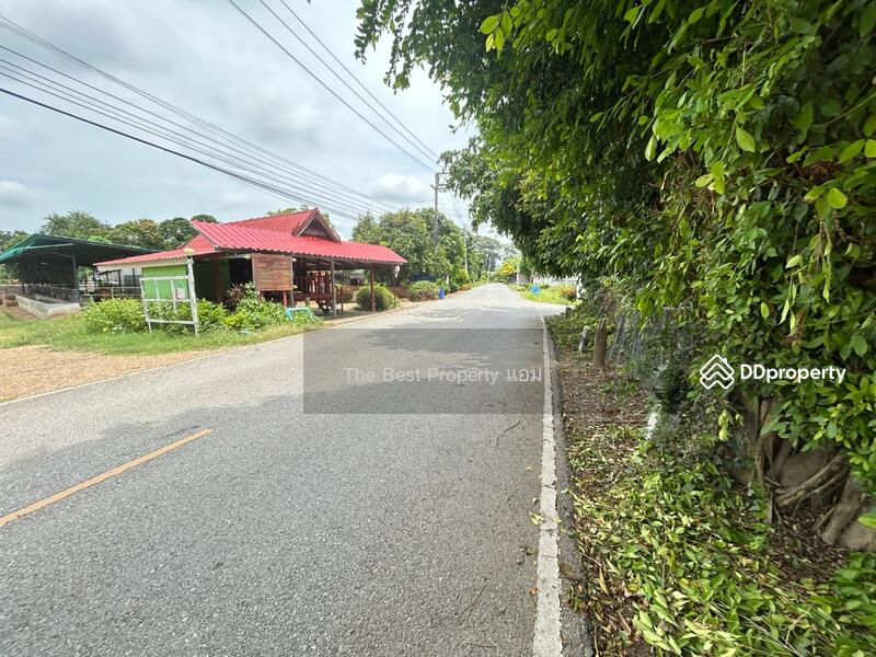 ขาย - ที่ดินบ้านยาง นครปฐม, นครปฐม