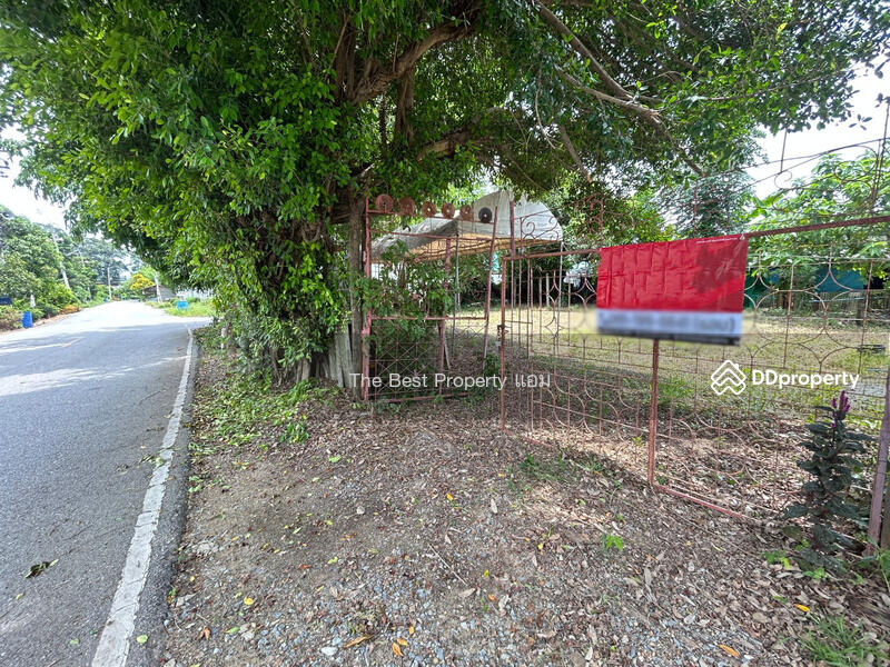 ขาย - ที่ดินบ้านยาง นครปฐม, นครปฐม
