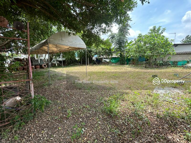ขาย - ที่ดินบ้านยาง นครปฐม, นครปฐม
