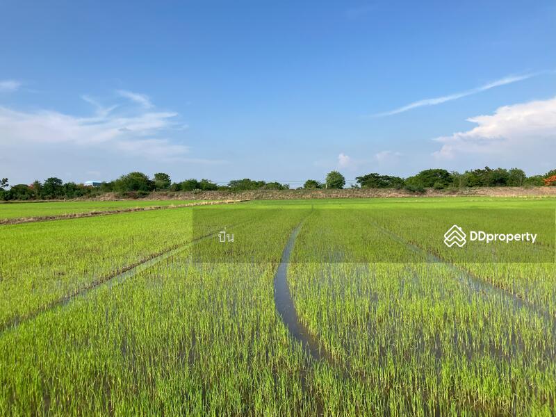 ขาย - 16110, สิงห์บุรี