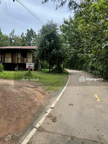 ขาย - ที่ดินเนินเขา อ.ปัว จ.น่าน 10 ไร่ 2 งาน 76 ตร.ว. ขาย 5.5 ล้าน ติดถนน ติดลำห้วย, น่าน