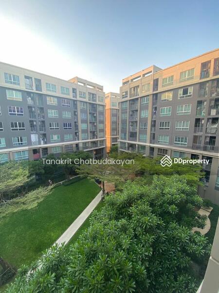 ขาย - Dcondo Campus Resort Ratchapruek-Charan 13 : ดีคอนโด แคมปัส รีสอร์ท ราชพฤกษ์-จรัญฯ13, กรุงเทพ