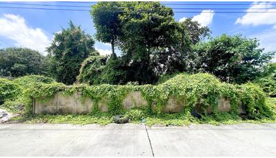 ขาย - ขายที่ดินพหลโยธิน 56 ขนาด 149.8 ตร.ว., กรุงเทพ