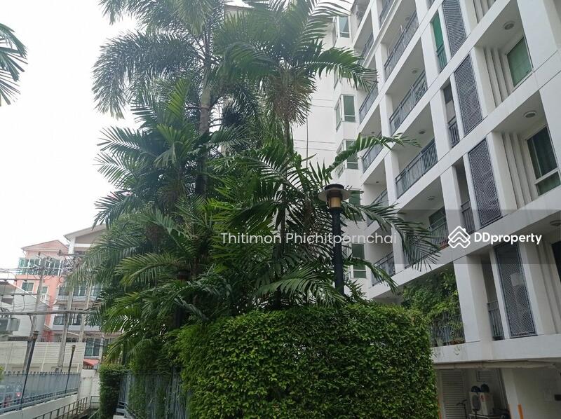 ให้เช่า - The Bangkok Sab Condominium : คอนโด เดอะ บางกอก ถนนทรัพย์, กรุงเทพ