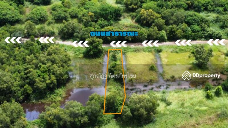 For Sale - Land for sale, area 200 sq m, Lam Ta Sao Subdistrict, Wang Noi District, Phra Nakhon Si Ayutthaya, Phra Nakhon Si Ayutthaya