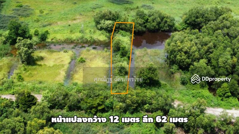 For Sale - Land for sale, area 200 sq m, Lam Ta Sao Subdistrict, Wang Noi District, Phra Nakhon Si Ayutthaya, Phra Nakhon Si Ayutthaya
