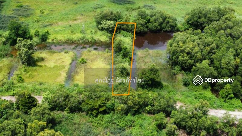 For Sale - Land for sale, area 200 sq m, Lam Ta Sao Subdistrict, Wang Noi District, Phra Nakhon Si Ayutthaya, Phra Nakhon Si Ayutthaya