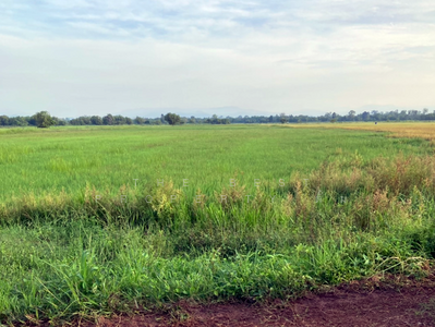 ขาย - ที่ดินปากพลี นครนายก, นครนายก