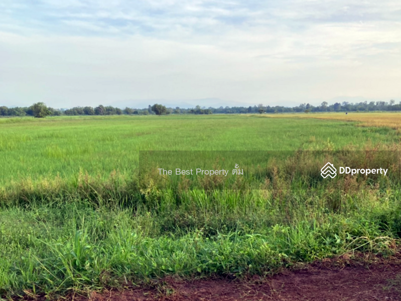 ขาย - ที่ดินปากพลี นครนายก, นครนายก