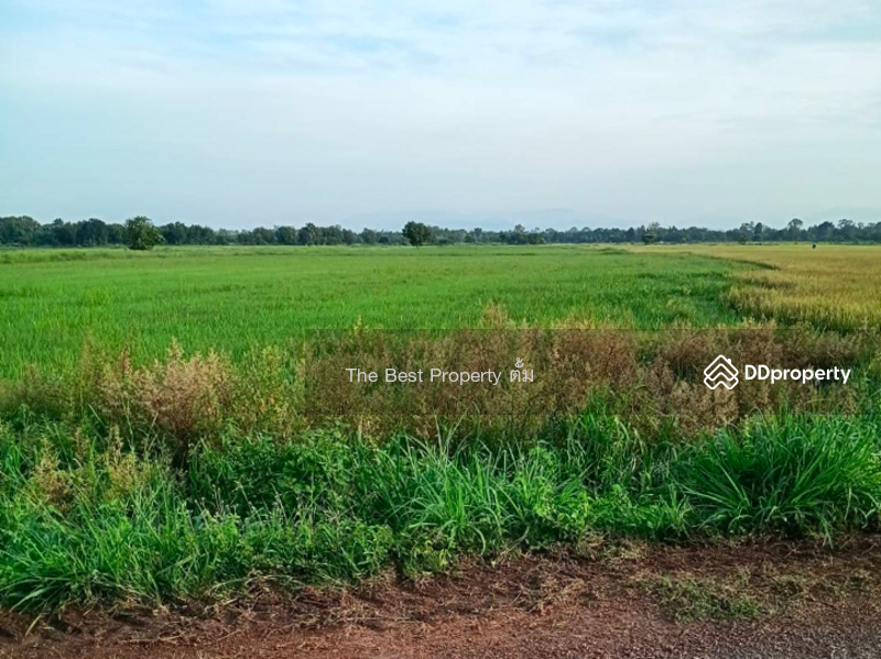ขาย - ที่ดินปากพลี นครนายก, นครนายก