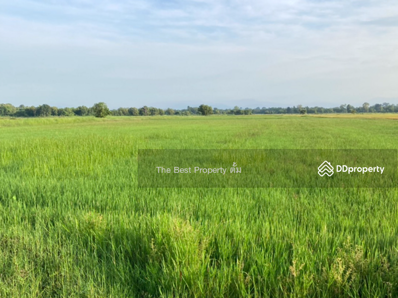 ขาย - ที่ดินปากพลี นครนายก, นครนายก