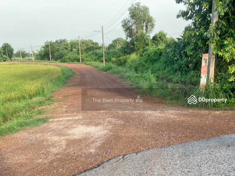 ขาย - ที่ดินปากพลี นครนายก, นครนายก