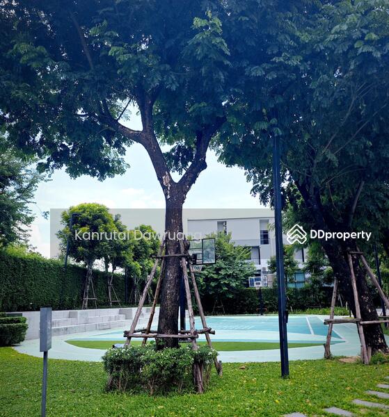 ขาย - Estara Haven Pattanakan 20, กรุงเทพ