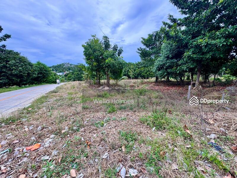 For Rent - Flat land in Plailaem for long term lease, Surat Thani