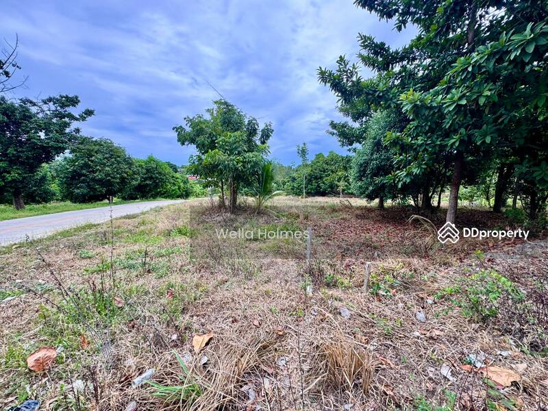 For Rent - Flat land in Plailaem for long term lease, Surat Thani