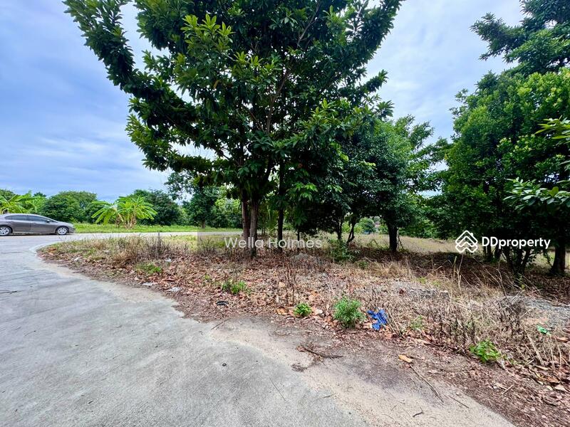 For Rent - Flat land in Plailaem for long term lease, Surat Thani