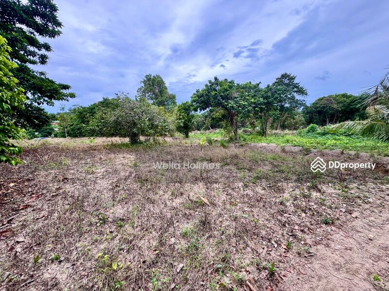 For Rent - Flat land in Plailaem for long term lease, Surat Thani