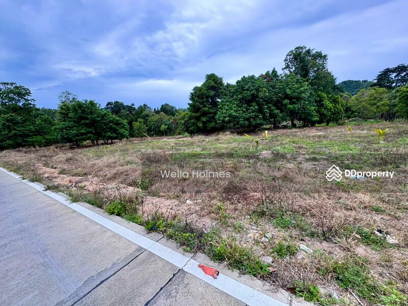 For Rent - Flat land in Plailaem for long term lease, Surat Thani