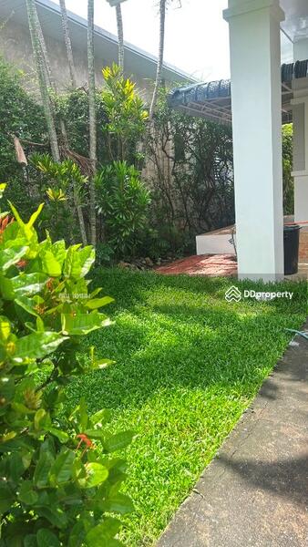 For Rent - Wang Taan village, Chiang Mai