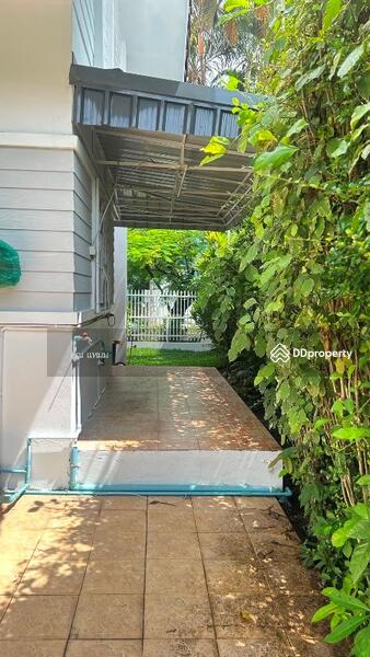 For Rent - Wang Taan village, Chiang Mai
