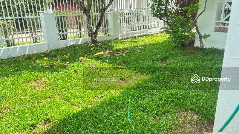 For Rent - Wang Taan village, Chiang Mai