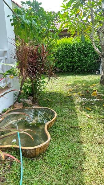 ให้เช่า - วังตาล, เชียงใหม่