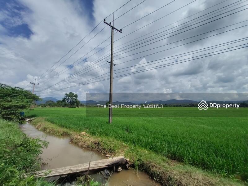 ขาย - ที่ดินทองแสนขัน อุตรดิตถ์, อุตรดิตถ์
