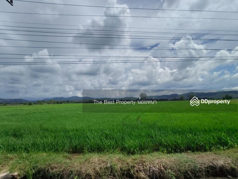 ขาย - ที่ดินทองแสนขัน อุตรดิตถ์, อุตรดิตถ์