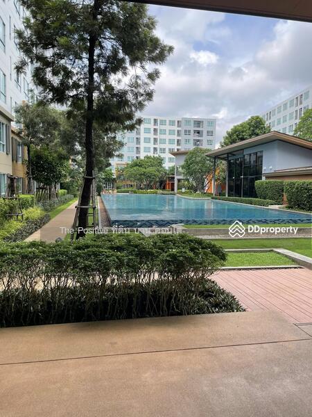 For Rent - Dcondo Nim, Chiang Mai