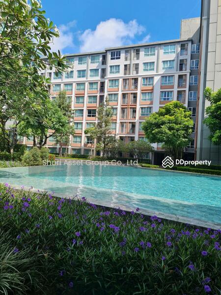 ให้เช่า - Dcondo Ping : ดีคอนโดพิงค์, เชียงใหม่