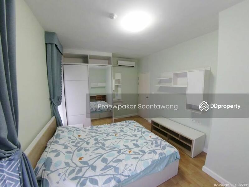 ให้เช่า - My Condo Sukhumvit 103 : มาย คอนโด สุขุมวิท 103, กรุงเทพ