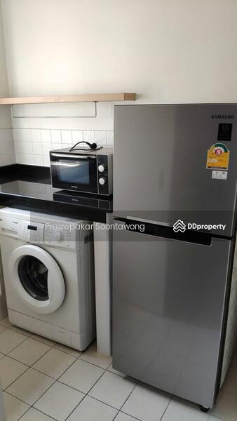 ให้เช่า - My Condo Sukhumvit 103 : มาย คอนโด สุขุมวิท 103, กรุงเทพ