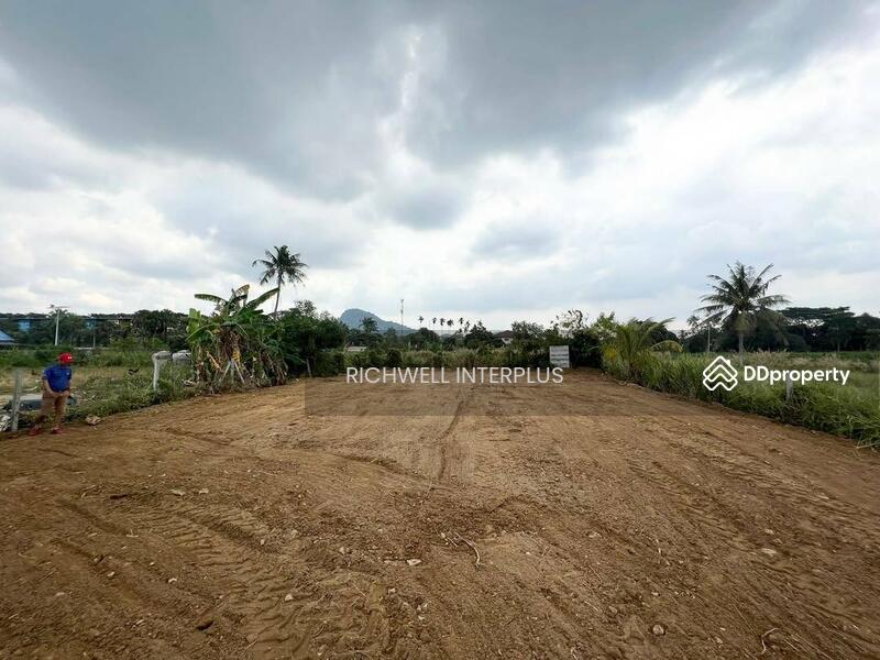 ขาย - ขายที่ดินบางเสร่ ถมแล้ว 126 ตรว. ทำเลดีติดสวนนงนุช ใกล้ถนนสุขุมวิท3-2กม. อ.สัตหีบ, ชลบุรี