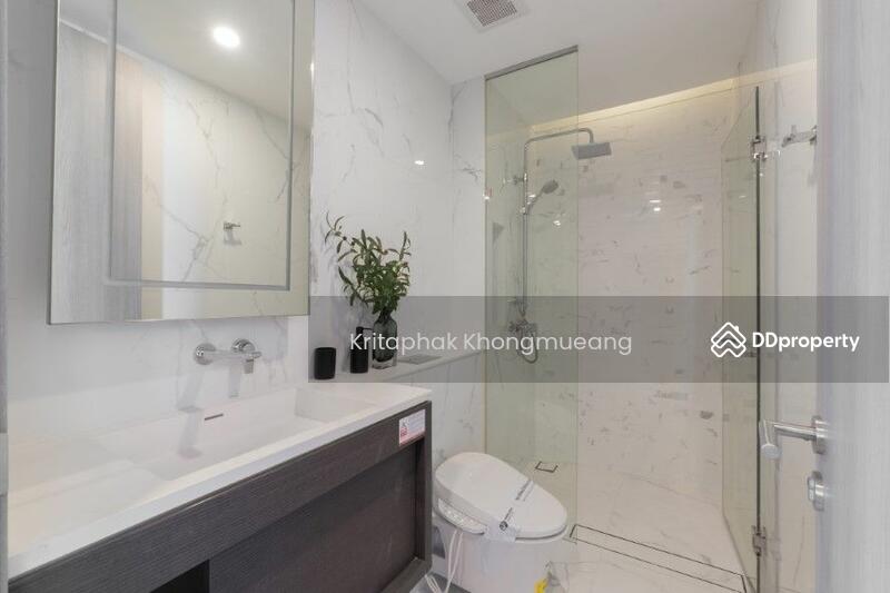 For Sale - Siamese Exclusive Queens, Bangkok
