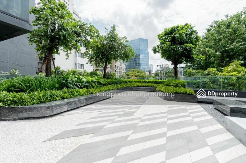 For Sale - Siamese Exclusive Queens, Bangkok
