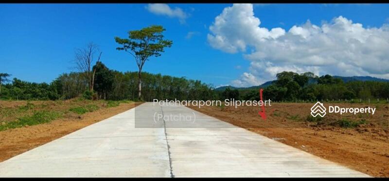 ขาย - ขายที่ดินเปล่า ทำเลทอง สภาพแวดล้อมดี ใกล้แหล่งชุมชน เดินทางสะดวก อ.ตะกั่วป่า จ.พังงา, พังงา