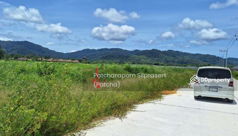 ขาย - ขายที่ดินเปล่า ทำเลทอง สภาพแวดล้อมดี ใกล้แหล่งชุมชน เดินทางสะดวก อ.ตะกั่วป่า จ.พังงา, พังงา