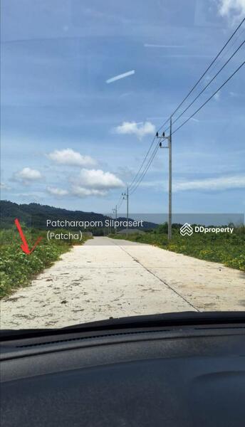 ขาย - ขายที่ดินเปล่า ทำเลทอง สภาพแวดล้อมดี ใกล้แหล่งชุมชน เดินทางสะดวก อ.ตะกั่วป่า จ.พังงา, พังงา