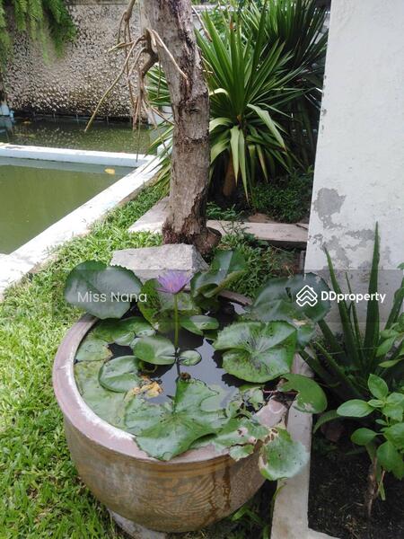 ขาย - บ้านเดี่ยว ลาซาล, กรุงเทพ
