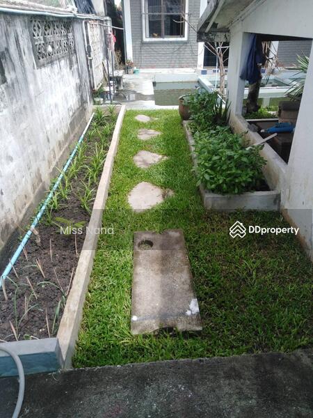 ขาย - บ้านเดี่ยว ลาซาล, กรุงเทพ