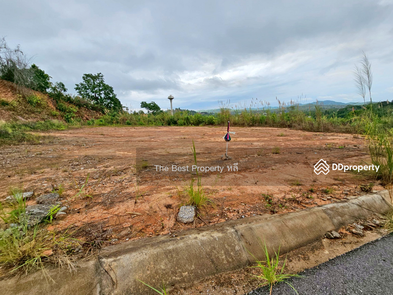 ขาย - ที่ดินท่าสุด เชียงราย, เชียงราย