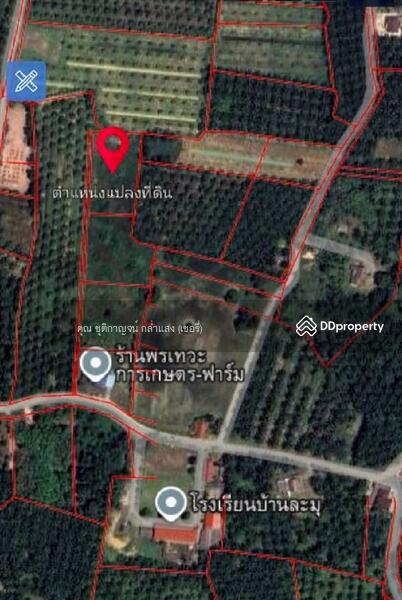 ขาย - ที่ดินเปล่า 4 ไร่ ที่ดิน ใกล้โรงเรียนบ้านละมุ จังหวัดชุมพร, ชุมพร